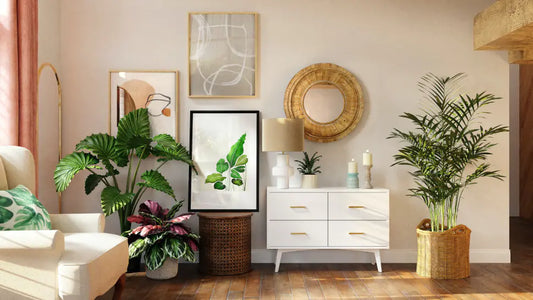 Introducing the Reibii Collection of Home Organizers - Keep Your Space Tidy!