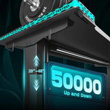 Electric Standing Desk, Sit to Stand Desk Adjustable Height, Stand Up Desk with Cable Management