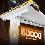 Electric Standing Desk, Sit to Stand Desk Adjustable Height, Stand Up Desk with Cable Management