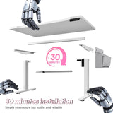 Electric Standing Desk, Sit to Stand Desk Adjustable Height, Stand Up Desk with Cable Management