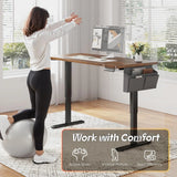 Electric Standing Desk, Sit to Stand Desk Adjustable Height, Stand Up Desk with Cable Management