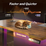 Electric Standing Desk, Sit to Stand Desk Adjustable Height, Stand Up Desk with Cable Management