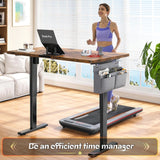 Electric Standing Desk, Sit to Stand Desk Adjustable Height, Stand Up Desk with Cable Management