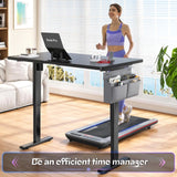 Electric Standing Desk, Sit to Stand Desk Adjustable Height, Stand Up Desk with Cable Management