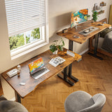 Electric Standing Desk, Sit to Stand Desk Adjustable Height, Stand Up Desk with Cable Management