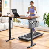 Electric Standing Desk, Sit to Stand Desk Adjustable Height, Stand Up Desk with Cable Management