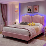 Twin/Full/Queen Bed Frame with Headboard&LED Lights